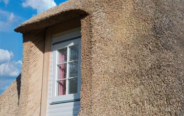 Eccliffe thatch roof disadvantages